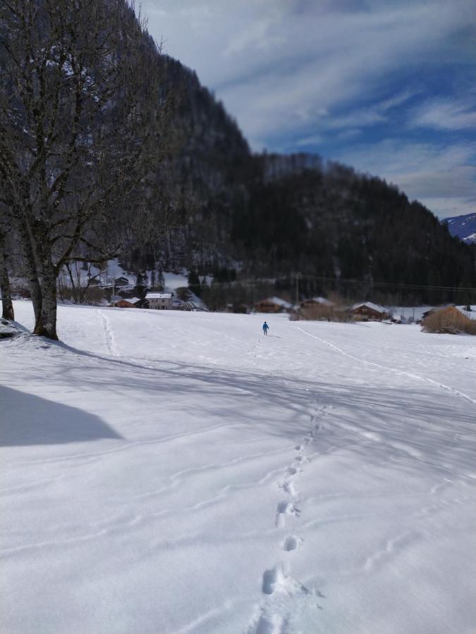 Le Clair Logis Villa Sixt Exteriör bild